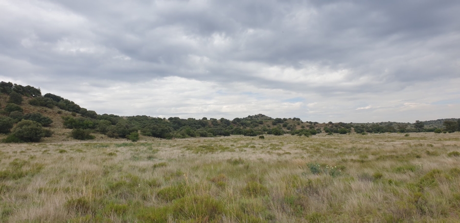 Commercial Property for Sale in Bloemfontein Rural Free State